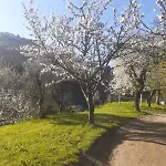Quinta Dos Carvalhos The Wine House Farm In Center Of Lamego - Capital Of The Douro