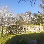 Quinta Dos Carvalhos The Wine House Farm In Center Of Lamego - Capital Of The Douro