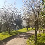 Quinta Dos Carvalhos The Wine House Farm In Center Of Lamego - Capital Of The Douro