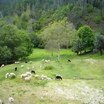 Agrofarm With Animals - Qta Entre Sebes