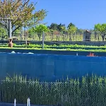 La Cigarrita Guest House - Douro Valley
