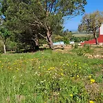 Monte Da Silveira