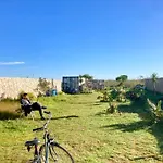 Early Afternoon Surf Club