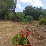 Alojamento Casa Maria