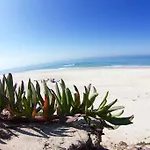 Oporto Surf Camp