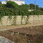 Casalinho De Santo Antonio
