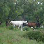Herdade Da Fonte Branca