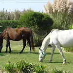 Quinta Beira-Mar