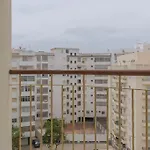 Akisol Armacao Pera Star IV