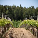 Herdades Da Frupor - Casas De Campo