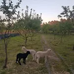 Quinta Da Lage