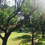 Casa Do Pateo