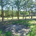 O Monte Das Flores