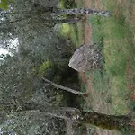 Quinta Das Lamas E Salgueirinhos