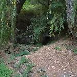 Quinta Das Lamas E Salgueirinhos