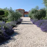 Quinta Da Dinha