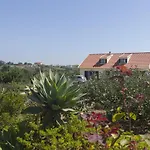 Surf Camp 360
