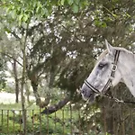 Quinta De Cascavelos-Eco Resort Experience