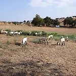 Herdade Dos Mestres