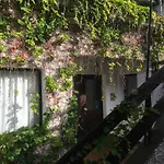 Chuva De Prata