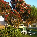 Patio Mateus