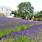 Quinta Das Lavandas