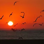 Serenabeach