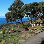 Casa D\'Avo Francisco