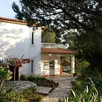 Wavin\' Trees Ericeira