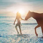 Pg - Beach House