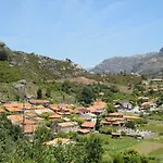 Melodia Do Campo