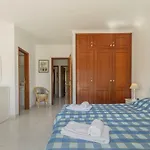 Casa Tulipa