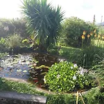 Casa Farrobo