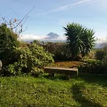 Casa Farrobo