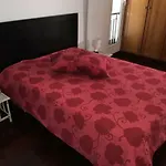 Apartment Sophia