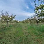 Casal Dos Crespos - Casa De Campo