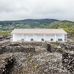 Insula Vinus Apartments