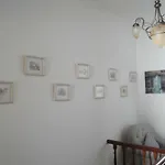 Violeta House