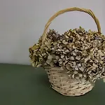 Casa De Gaia