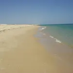 Apartamento Ria Formosa No Mar