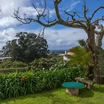 Quinta Das Bolas
