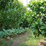 Casa Do Ti\' Marrao