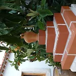Refugio Da Ti Maria
