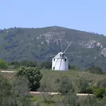 Wonderful Place