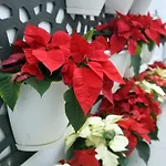 Porto Velho Boutique Hostel