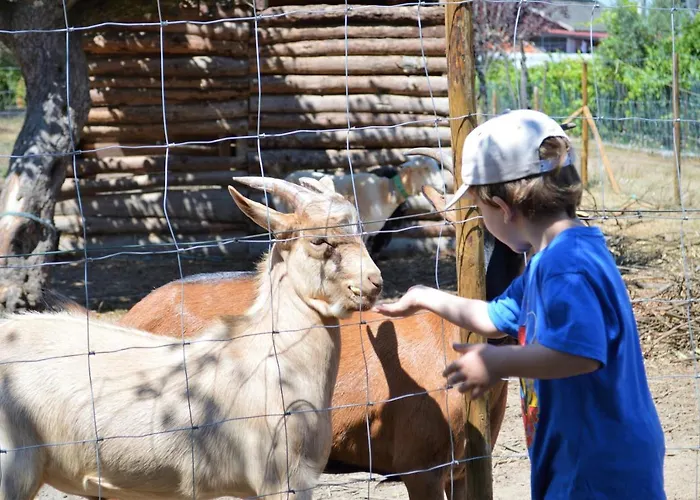 Casa Das Palmeiras-Pedagogic Farm