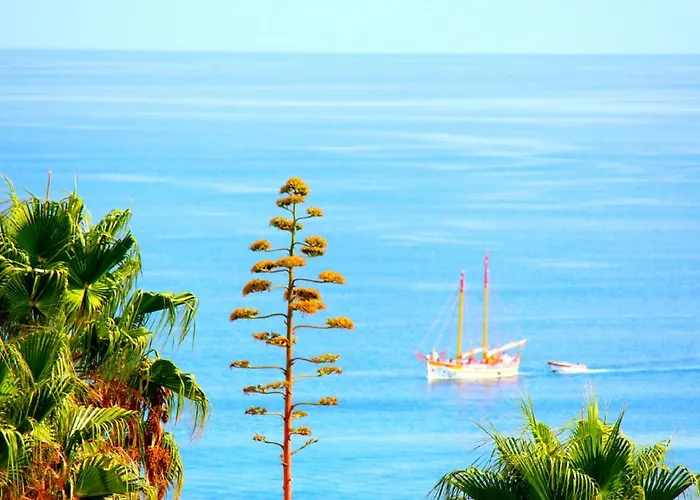 Wow Sea View, 200Mts To Beach & 10 Min To Downtown