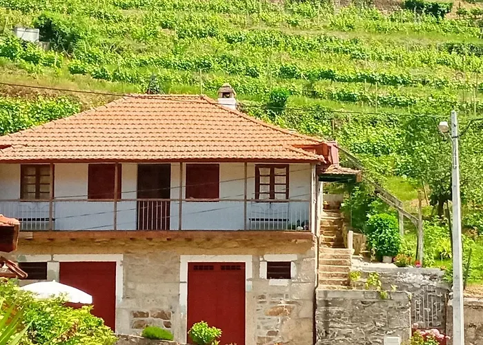 D. Maria Sao Pedro De Balsemao
