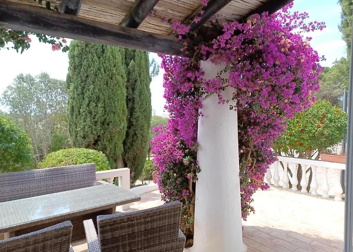 Quinta Do Paraiso - Casa Colynda