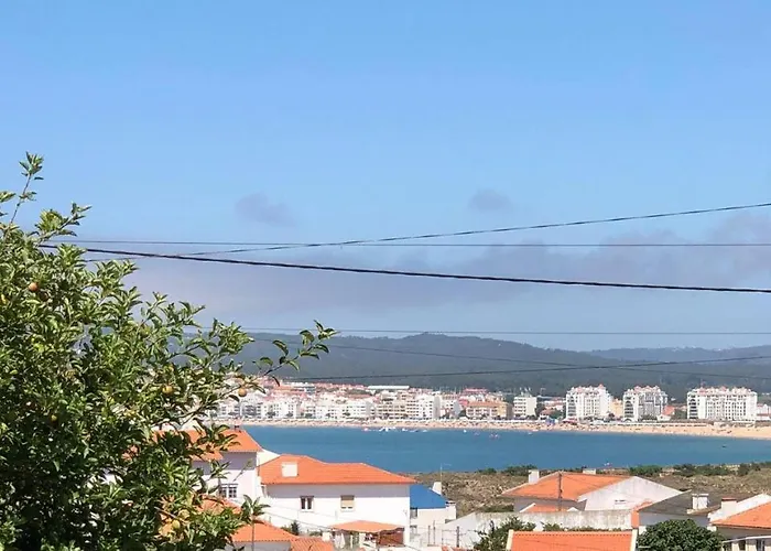 Casa Do Trevo